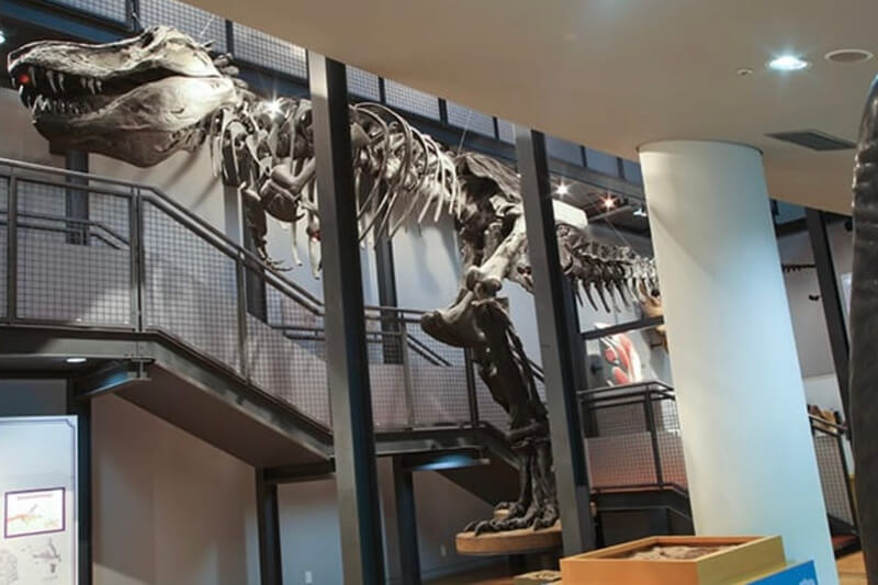 福井県立恐竜博物館