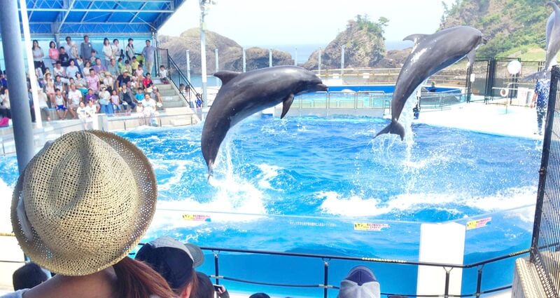 越前松島水族館