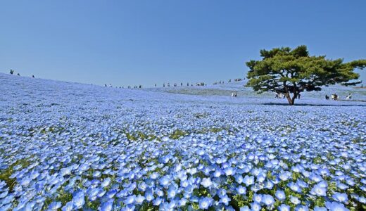 香川のパパ活で使えるおすすめアプリ10選！デートや顔合わせのスポットも紹介