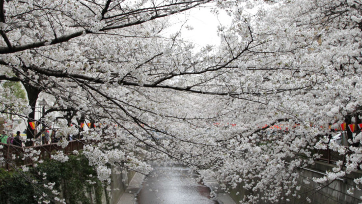 おしゃれな街にもある！中目黒でおすすめしたい立ち飲み居酒屋