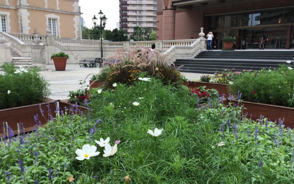 バータイプの店が多い！美味しいビールを楽しめる恵比寿でイケてるクラブを紹介