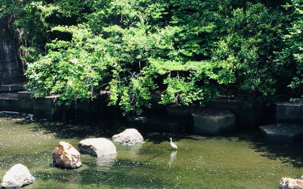 ビールやアルコールを楽しめる場所!目黒でおすすめしたいクラブを紹介