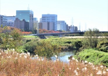 おしゃれに盛り上がる!新横浜でおすすめのパブを紹介