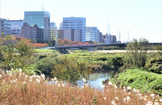 おしゃれに盛り上がる!新横浜でおすすめのパブを紹介