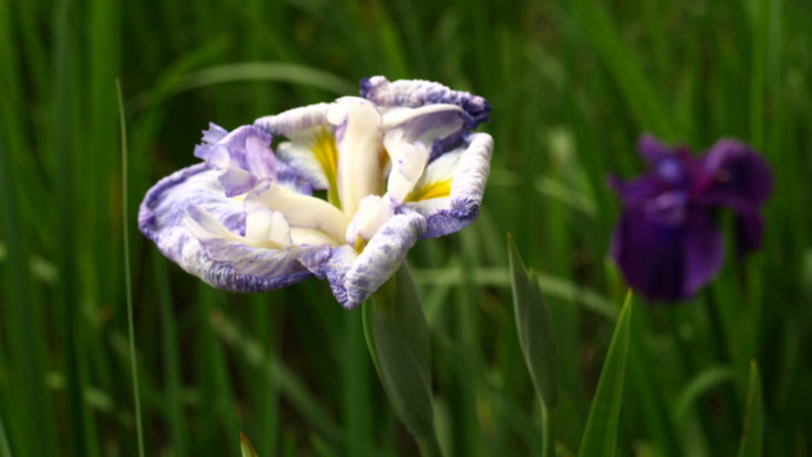 みんなでお酒を楽しめる!立川でクラフトビールが飲めるバーを紹介