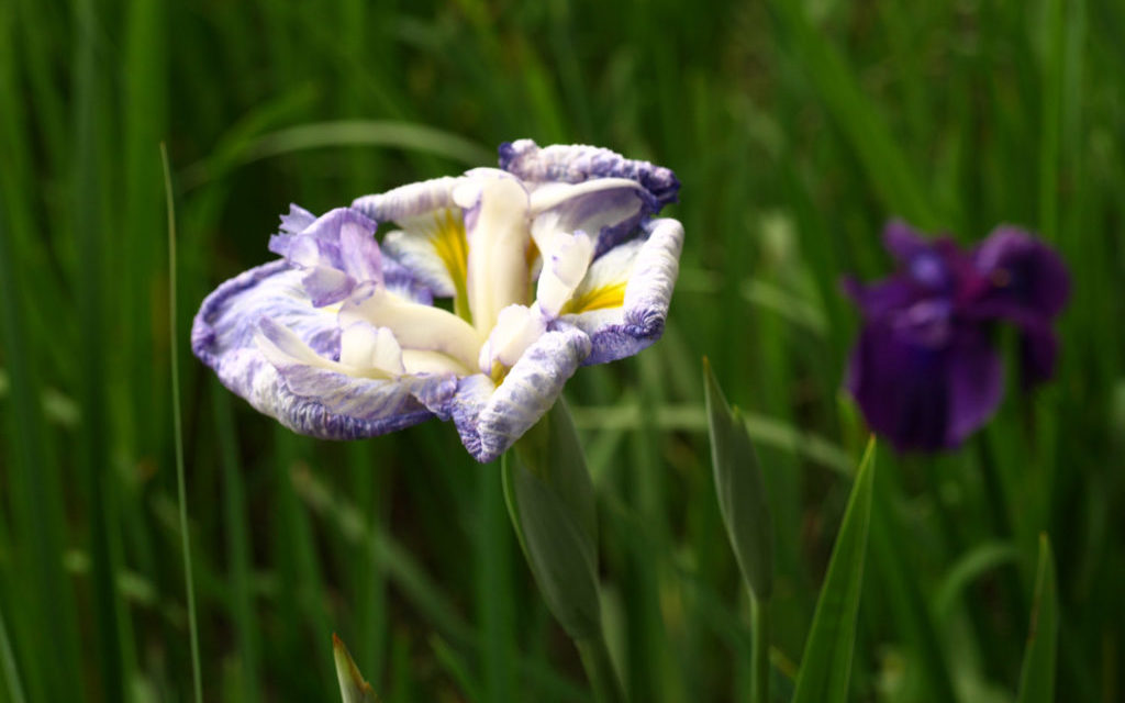 みんなでお酒を楽しめる！立川でクラフトビールが飲めるバーを紹介