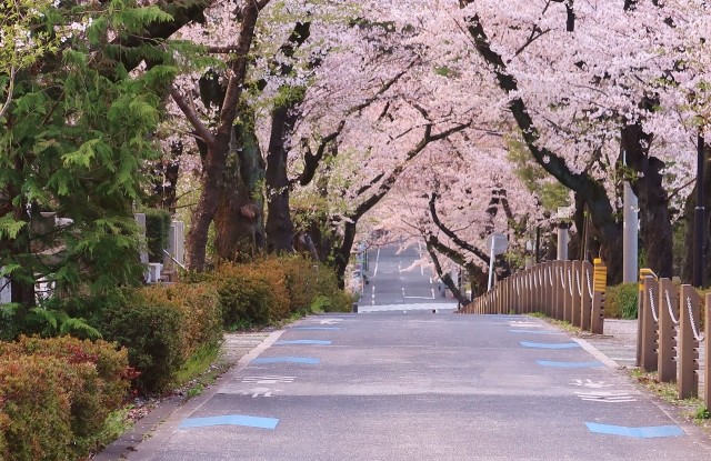 大人の雰囲気に酔いしれる！青山でクラフトビールが飲めるパブを紹介