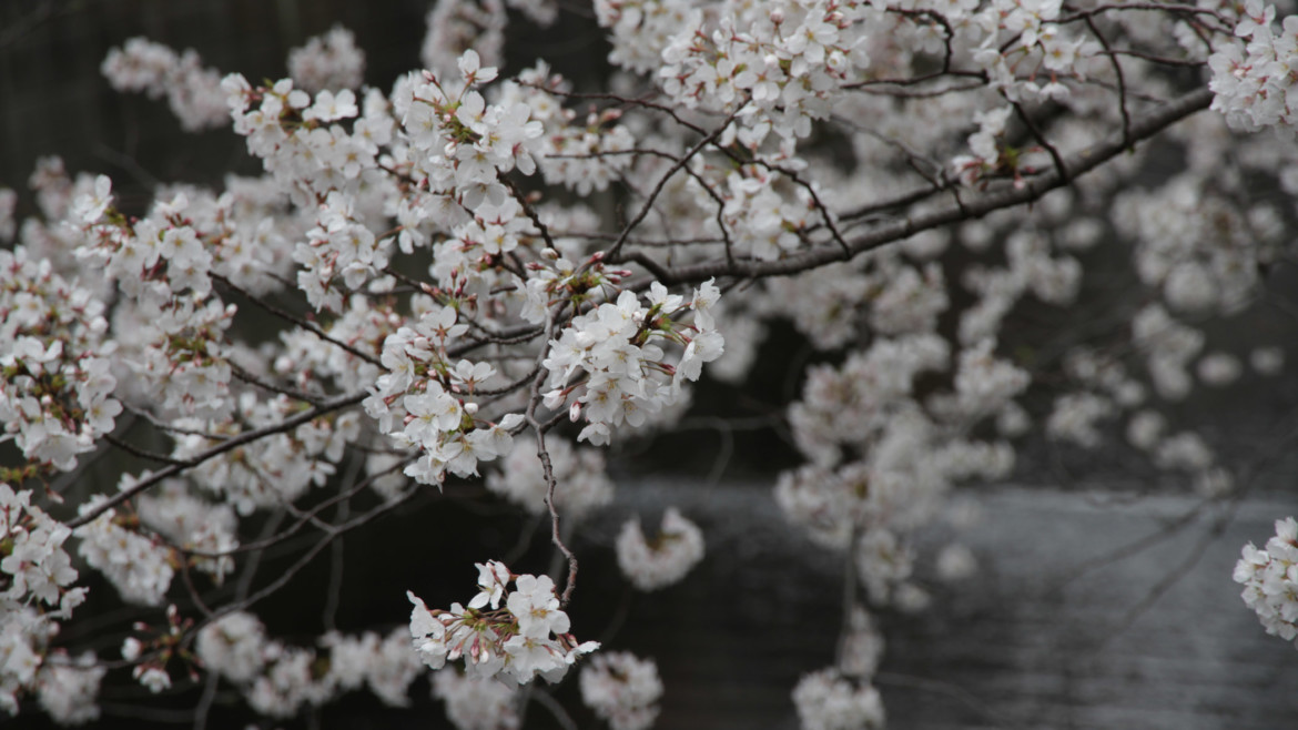 少数精鋭！ビール片手に楽しめる中目黒にある魅力的なクラブを紹介