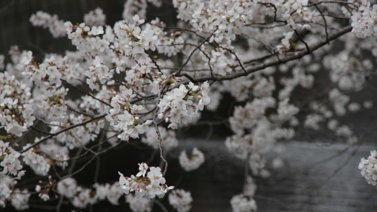 少数精鋭!ビール片手に楽しめる中目黒にある魅力的なクラブを紹介