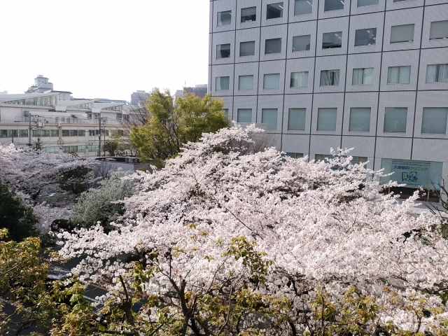 幅広い方が利用可能！大崎で美味しいクラフトビールが飲めるパブを紹介