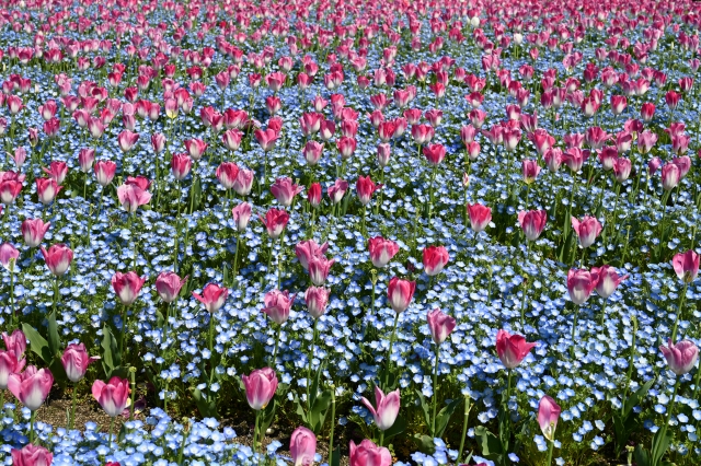 住みやすい街！鶴見でクラフトビールが飲めるバーを紹介