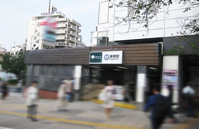 社交の場としても最適！巣鴨でビールが飲めるクラブを紹介