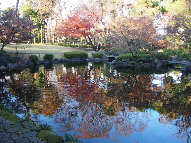 静かな街に意外なお店も！荻窪でビールを飲みながら盛り上がれるクラブを紹介