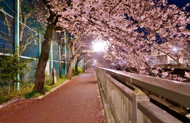 少数精鋭！板橋でビールが飲めるクラブを紹介