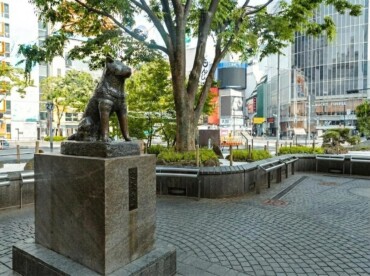 渋谷駅近のカラオケバー・スナック！初心者も安心で朝まで営業