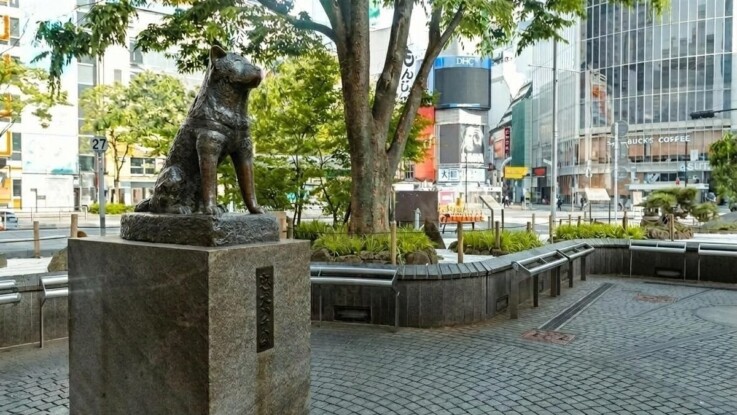 渋谷駅近のカラオケバー・スナック！初心者も安心で朝まで営業