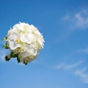 渋谷の出会い｜結婚相手と恋人探しの違いと目的別スポット解説